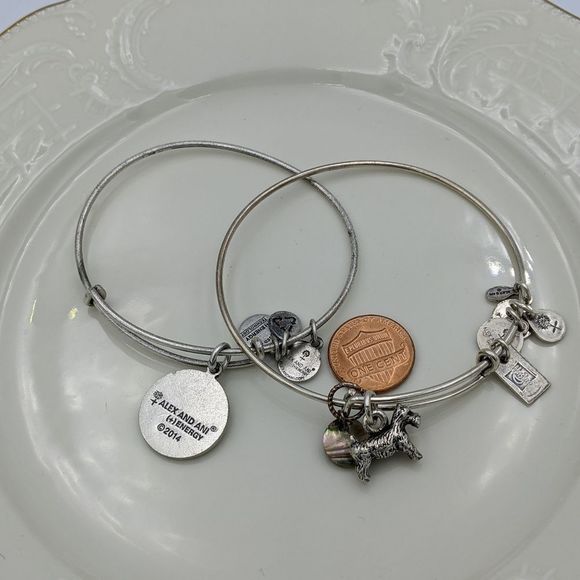 Alex and Ani Rafaleian Silver Dog Int. E Bracelets - Picture 6 of 8